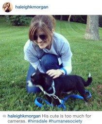 humane-society-volunteer